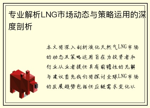 专业解析LNG市场动态与策略运用的深度剖析